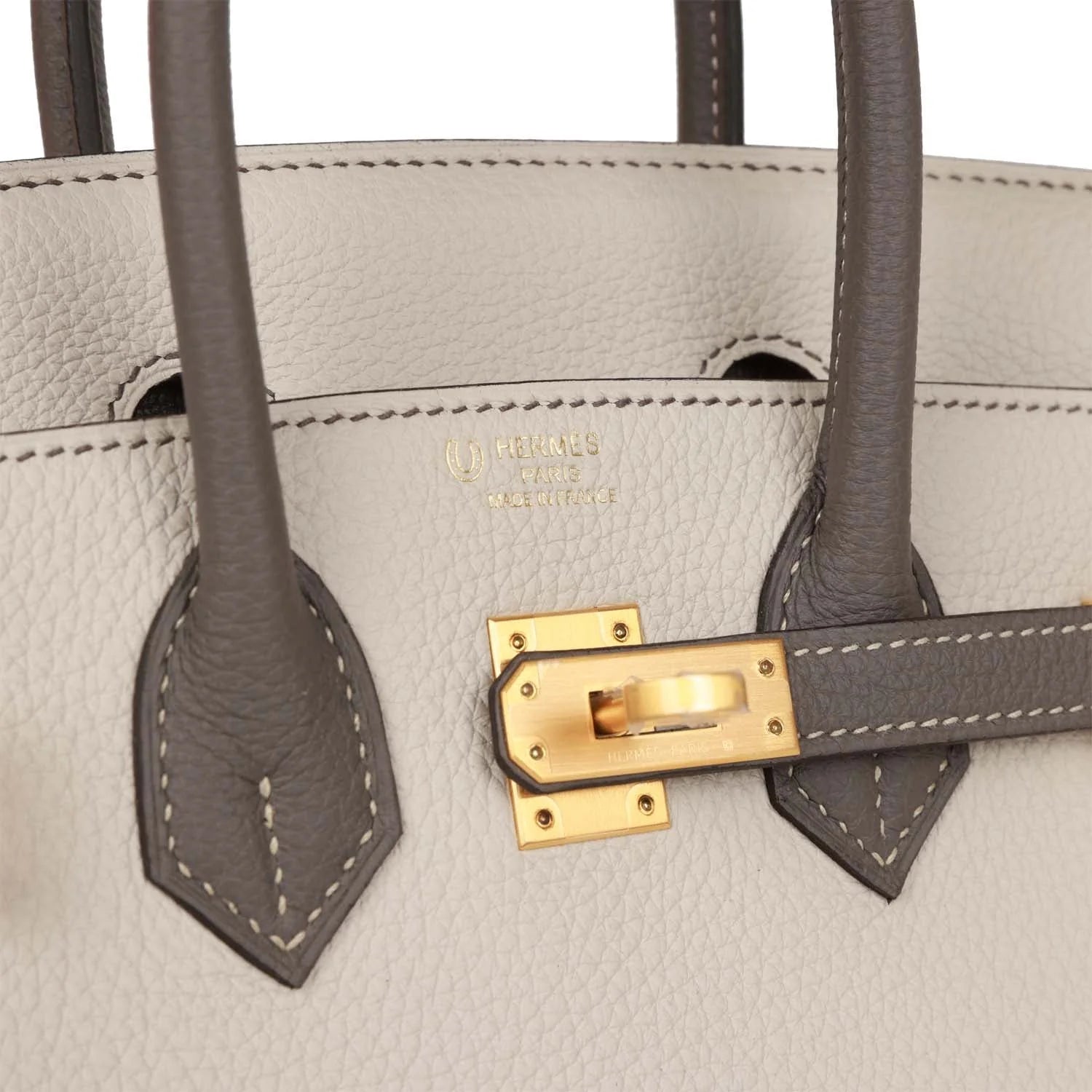 Birkin 25 Togo Leather Handbag with Gold Hardware Z2499