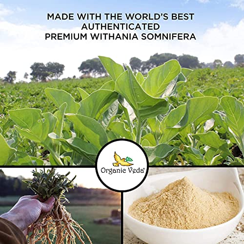 Ashwagandha Root Powder, 16oz - Pure & Natural Supplement, Vegan, Non-GMO E299405