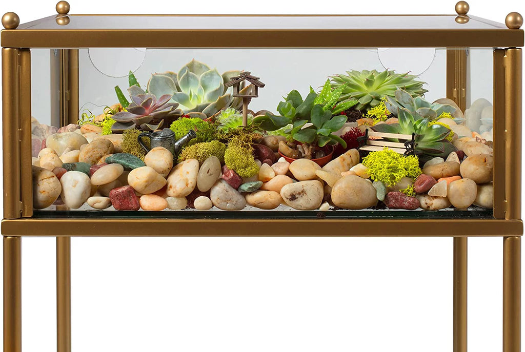 Square Terrarium Glass End Table, 18x18x27 Q436914