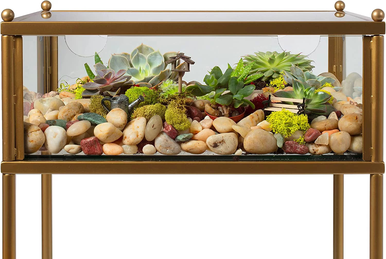 Square Terrarium Glass End Table, 18x18x27 Q436914