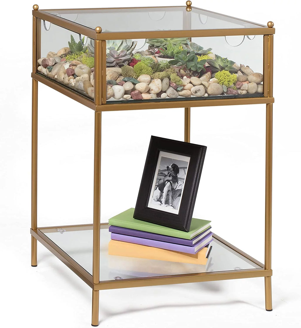 D'Eco Square Terrarium Glass End Table, 18x18x27