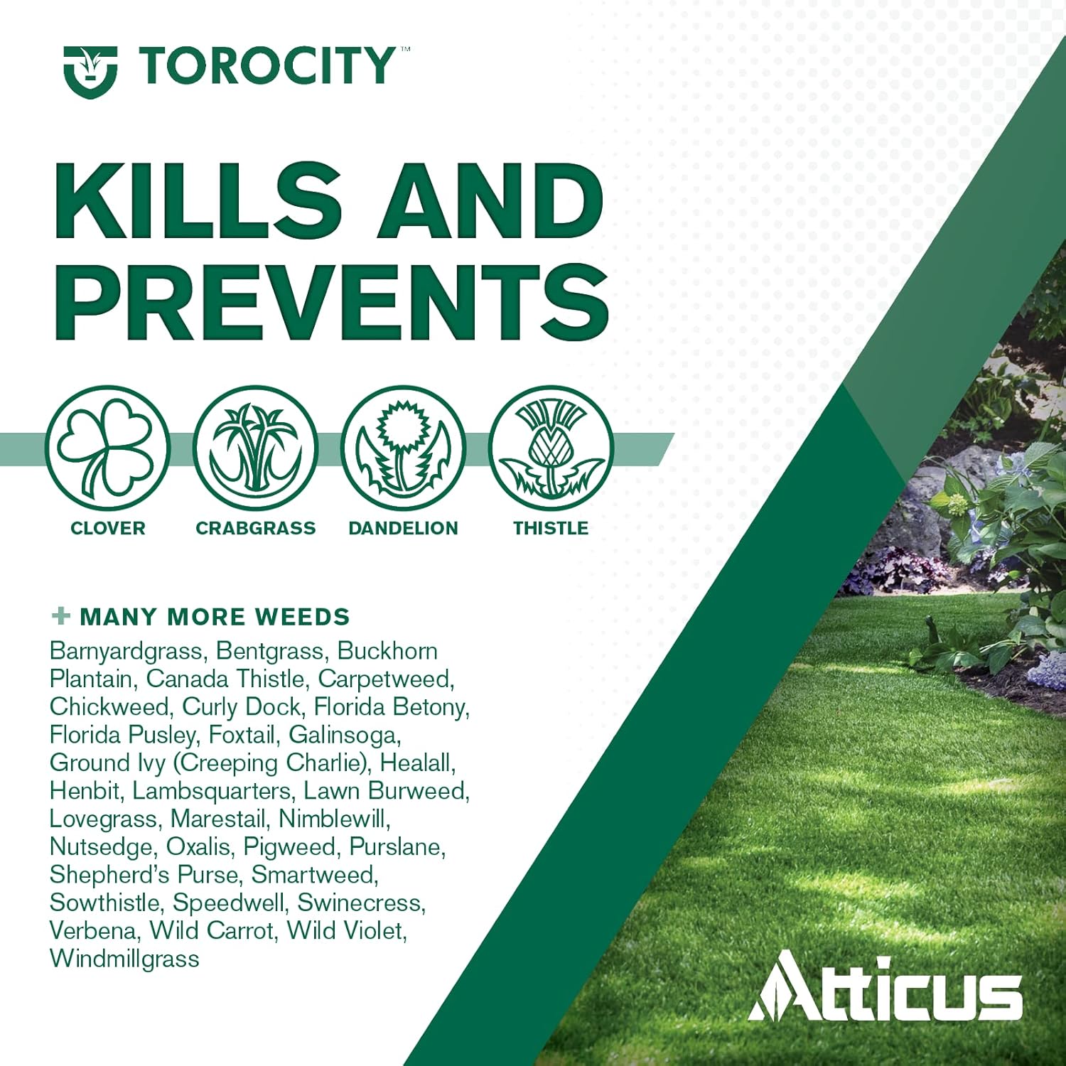 Turf Herbicide (16 oz) – Selective Weed Prevention for Lawns L456709