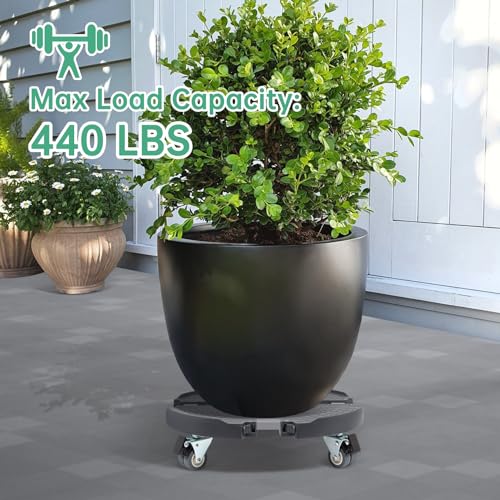 Plant Caddies with Wheels 2 Pack Heavy Duty Rolling Plant Stand N317279