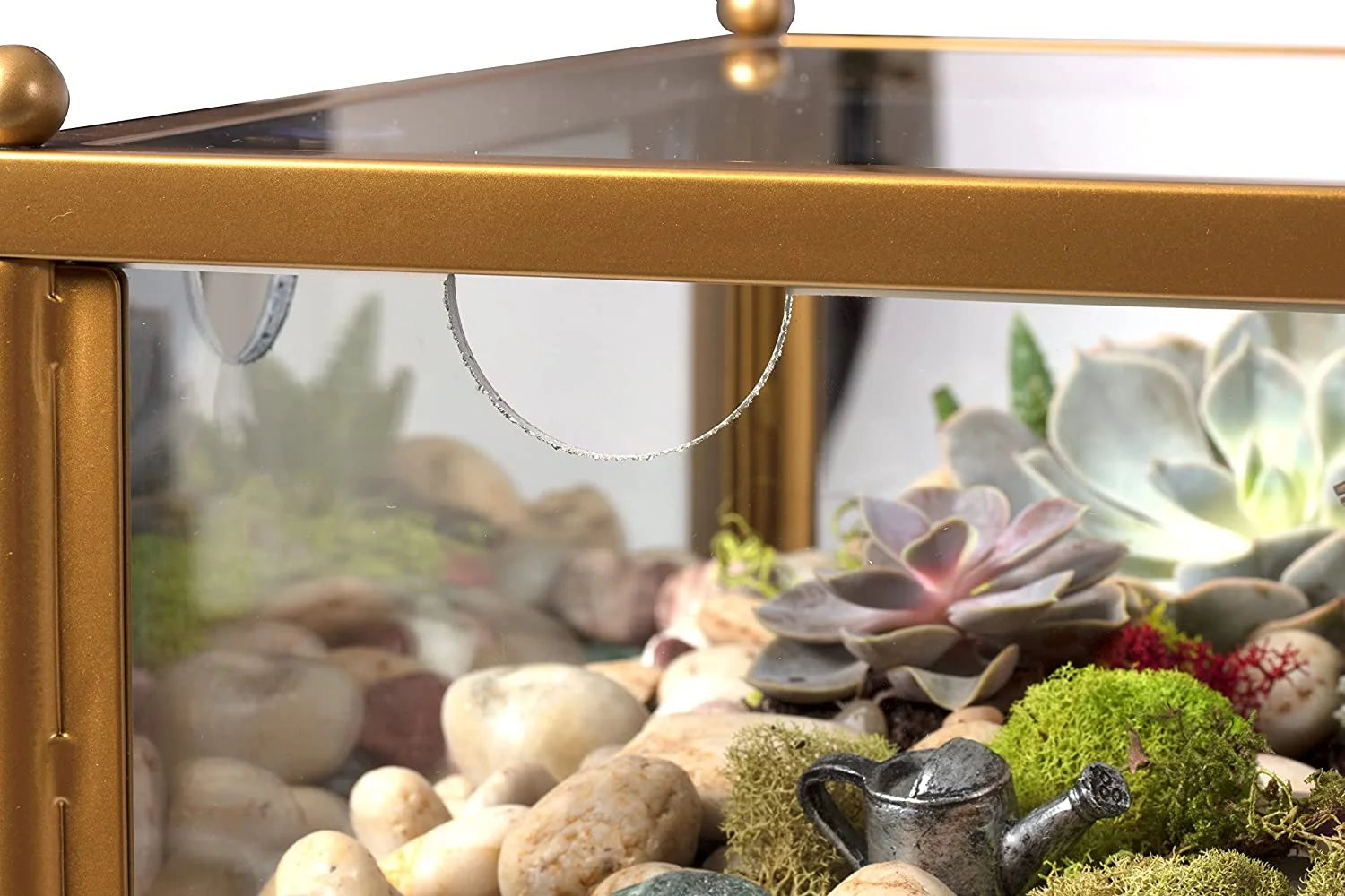 Square Terrarium Glass End Table, 18x18x27 Q436914