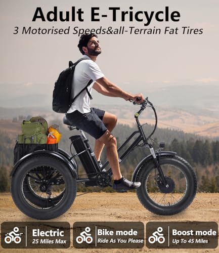 Adult Electric Tricycle 3 Wheel Bike Q8526