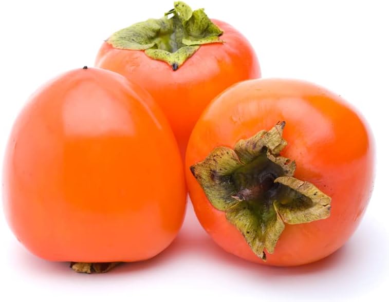 Date Plum Persimmon Fruit Tree Seeds, 30+ Seeds, Non GMO Heirloom V9650