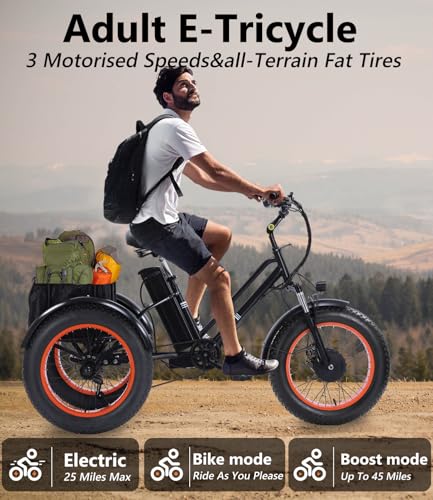 Adult Electric Tricycle 3 Wheel Bike Q8526