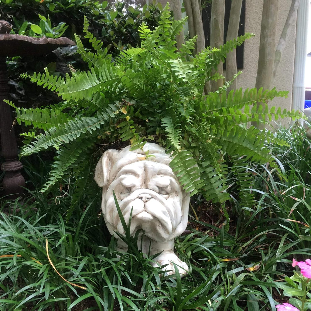 Antique White Bulldog Dog Statue Planter A33231