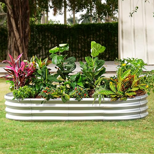 Galvanized Raised Garden Bed Kit, Oval Metal Planter Box for Vegetables E315