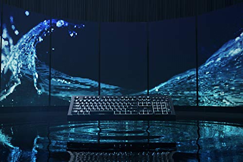 Gaming Keyboard with RGB Backlit Keys W1236