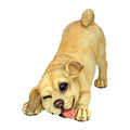 Design Toscano QM14003 Lover Boy Puppy Dog Statue,full color