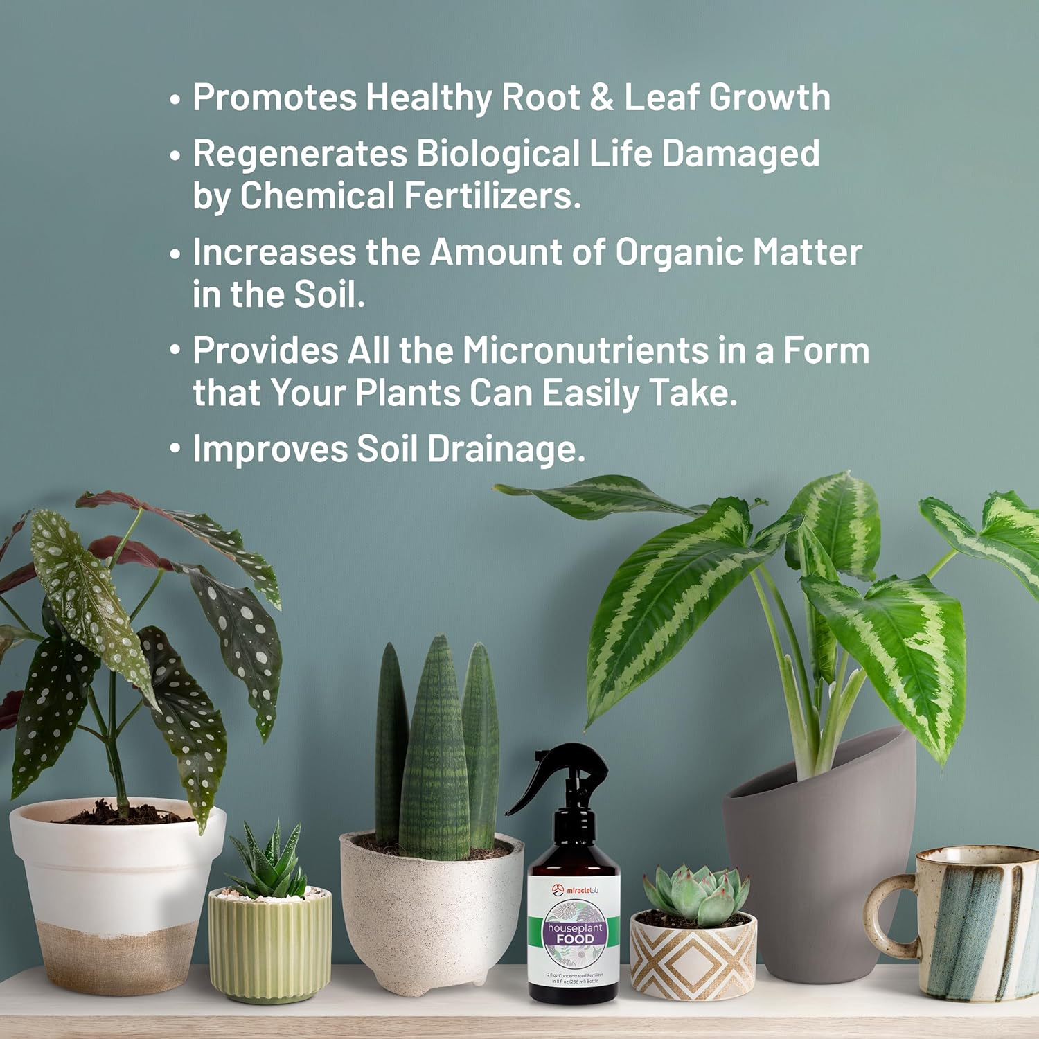 Liquid Houseplant Fertilizer with Natural Organic Ingredients, 2 oz Concentrated X538