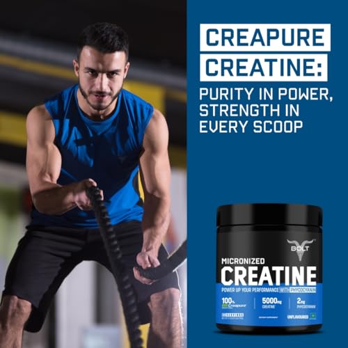 Creatine Monohydrate Powder, Orange Flavor, 30 Servings S632809