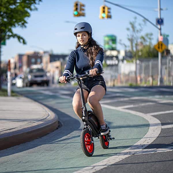 Folding Electric Bike with LCD Display, Lightweight and Portable Q84744