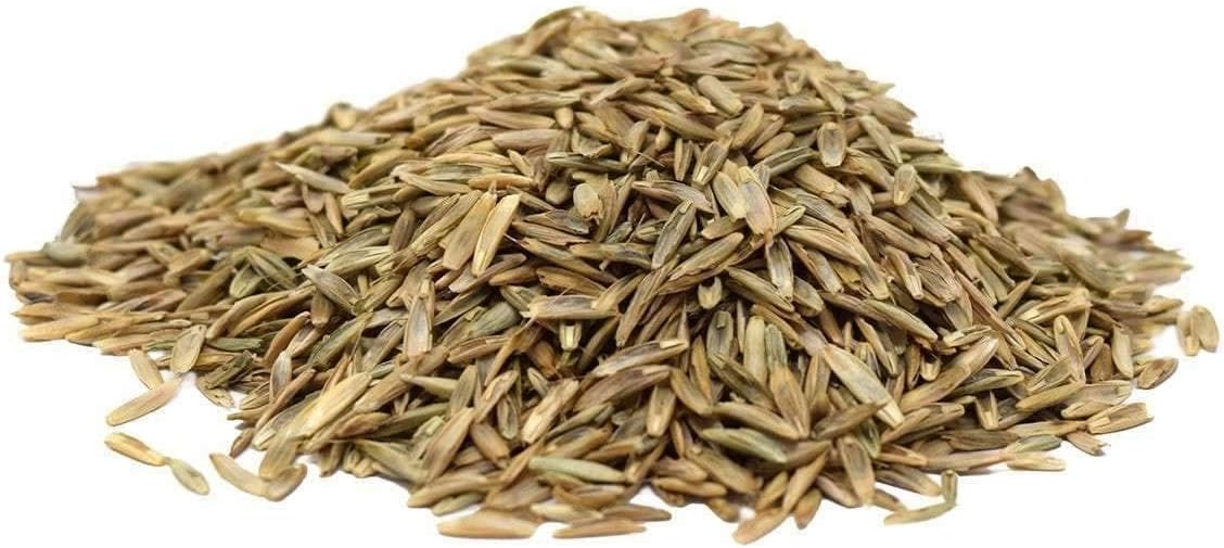 Pasture Ryegrass Seed - 50 lbs. E39634