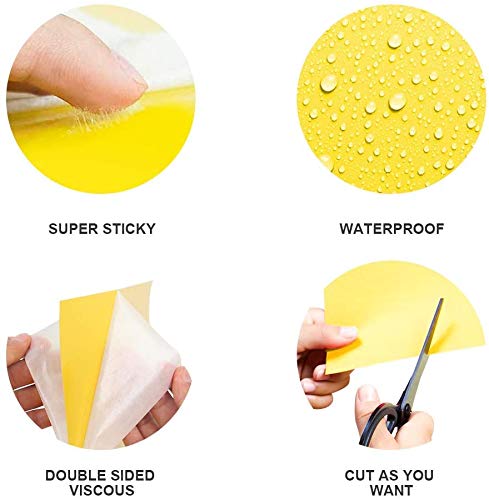 Dual-Sided Yellow Sticky Traps for Flying Plant Insects, 6x8 Inches, 30 Pack H20783