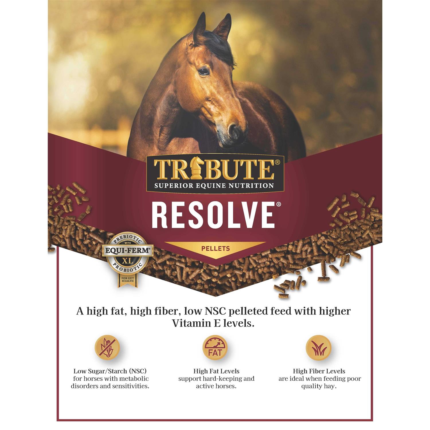 Horse Feed M430970