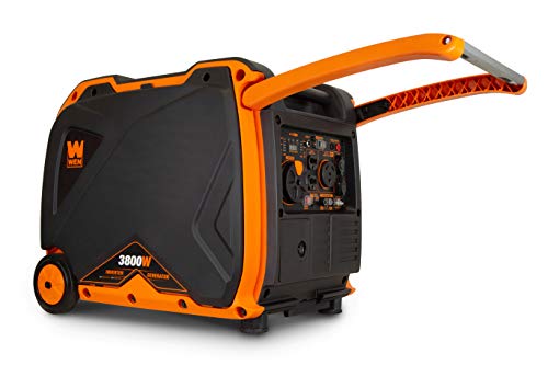 6800-Watt Dual Fuel Portable Inverter Generator with Electric Start W5913