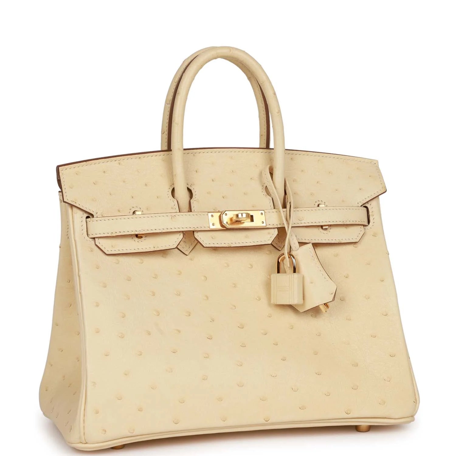 Ostrich Leather Handbag with Gold Hardware W129433