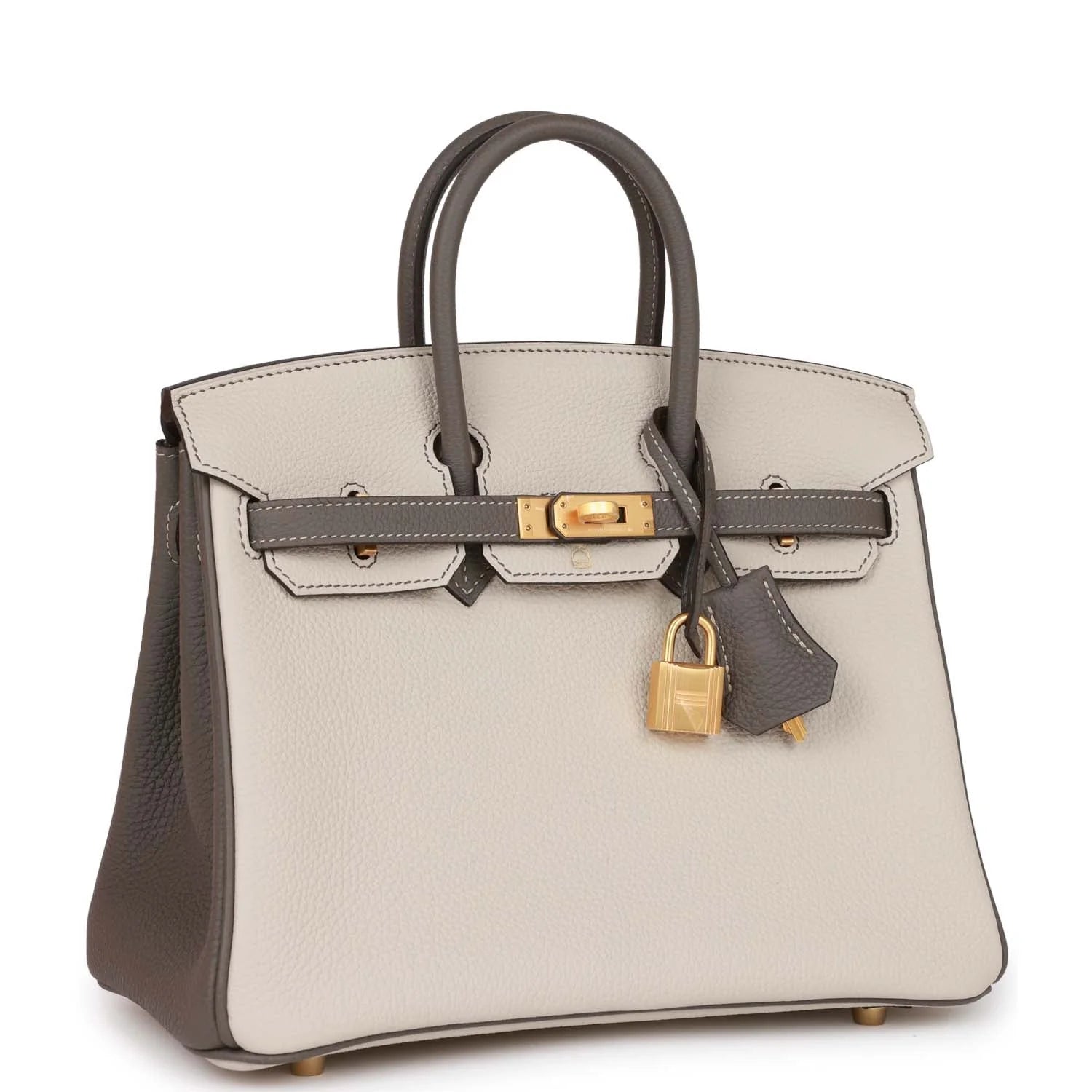Birkin 25 Togo Leather Handbag with Gold Hardware Z2499